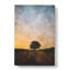 Lone Tree At Dusk Abstract - Wrapped Canvas-56665671