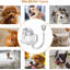 Séchoir pour animaux de compagnie
