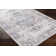 Mittler Oriental Machine Made Power Loomed Polyester Area Rug in Beige/Gray