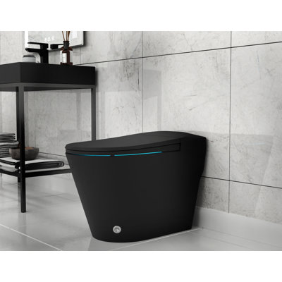 Toilette de bidet allongée ANZZI Echo 1,28 GPF (siège inclus)
