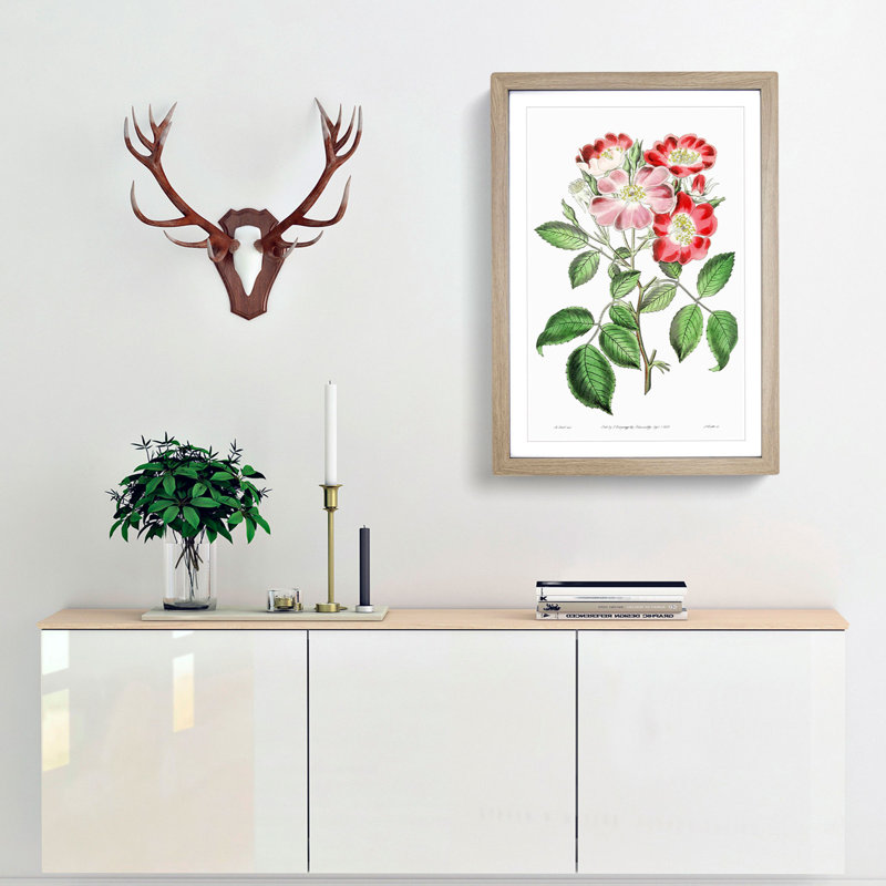 Pink Rose Clare Flowers - Framed Print, Oak Framed, 48cm H x 36cm W x 2cm D