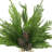 Quebec Evergreen Winter Arrangement