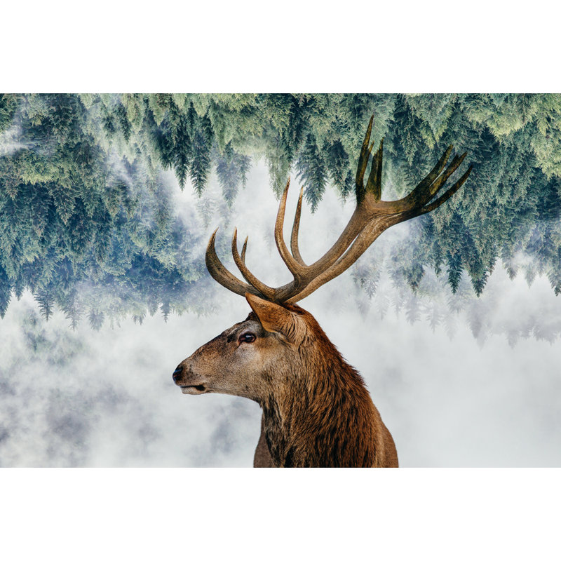 Wrapped Canvas Print, 50.8 cm H x 76.2 cm W