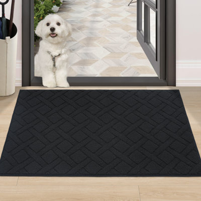 Non-Slip Indoor Doormat