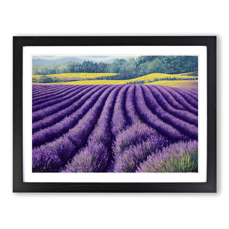 XH1022-9689X Vivacious Lavender Flower Field - Single Picture Frame Print, Black Framed, 46cm H x 64cm W x 2cm D