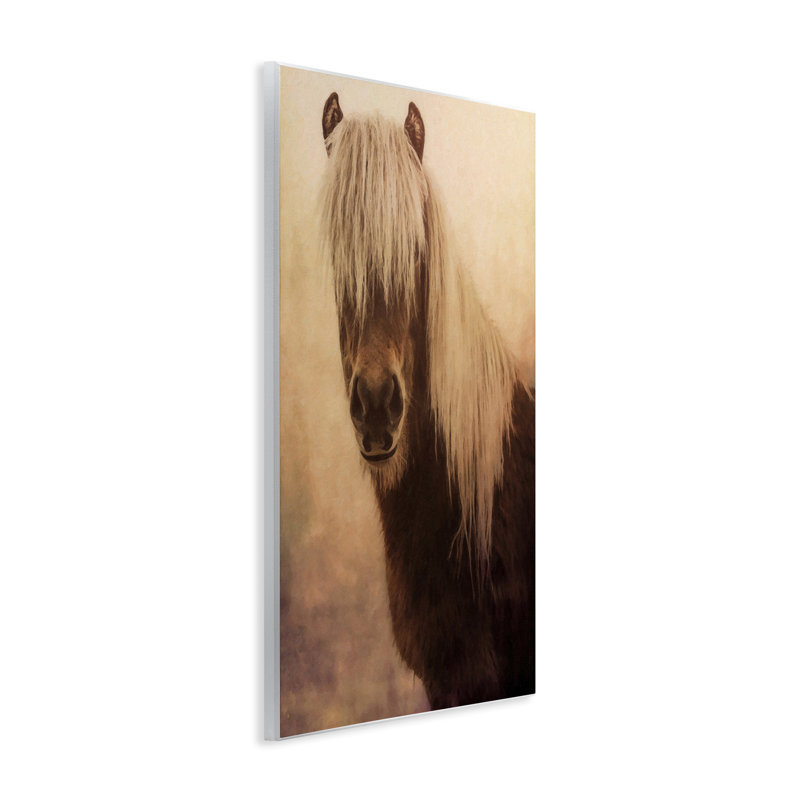  «Misty Morning Horse», art mural sur toile par Graffi *ee Studios, H 15 po x l 10 po