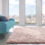 Aguon Supersoft Shaggy High Pile Rug
