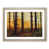 Oak Framed selected