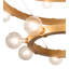 24 - Light Chandelier