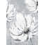 Grande fleurs blanches sur ardoise gris-impression sur toile-1521711345