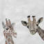 «The Giraffes» de Brockway, reproduction sur toile tendue-1987382246
