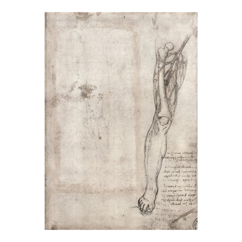 Dessin d'un pied humain par Leonardo Da Vinci - Estampe numérique, H 20 po x l 16 po