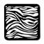 Square 6 Piece Coaster Set