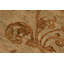 Tapis brun en laine noué à la main à motif floral 8 pi x 9 pi 4 po Baccio