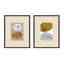 Rolling Stones. Set Of 2 Painting by Andrea Stokes-1724199008-1724199009
