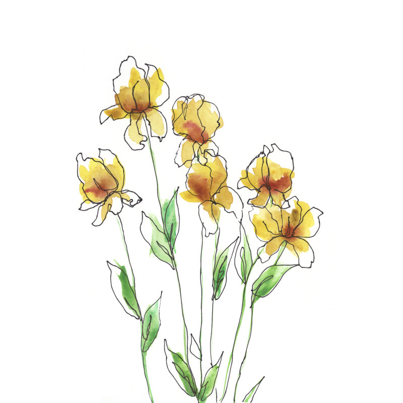 Amber Tulips II by Regina Moore - Painting, Wrapped Canvas, 46cm H x 30cm W