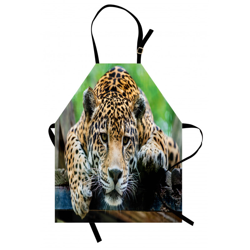 Bib Apron