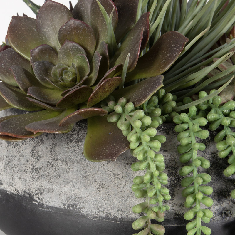 13'' Faux Succulent in Cement Planter