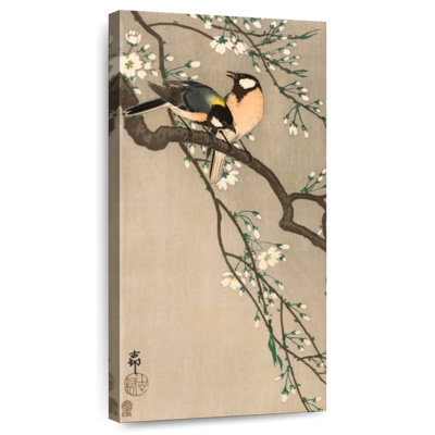 Oiseaux chanteurs sur une branche de cerisier