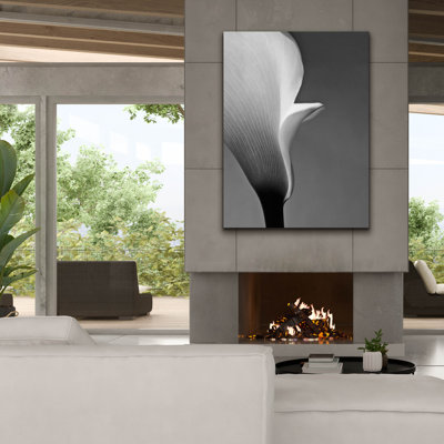 «Calla No. 5» par PhotoINC Studio