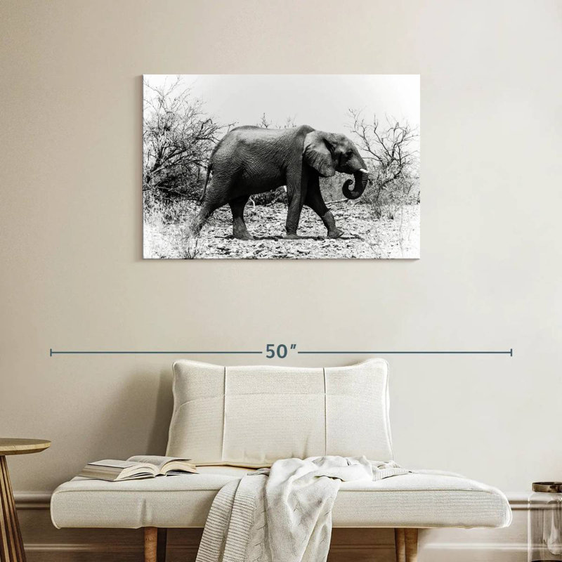 Éléphant d'Afrique Brampt au Botswana, H 24 po x l 36 po