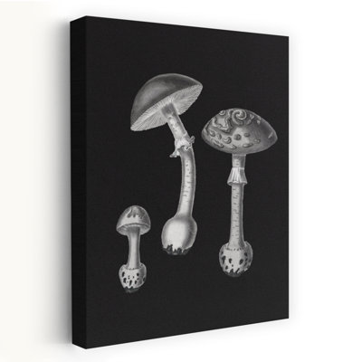 Impression d'art mural rétro vintage en noir et blanc sur fond noir d'une amanite muscaria