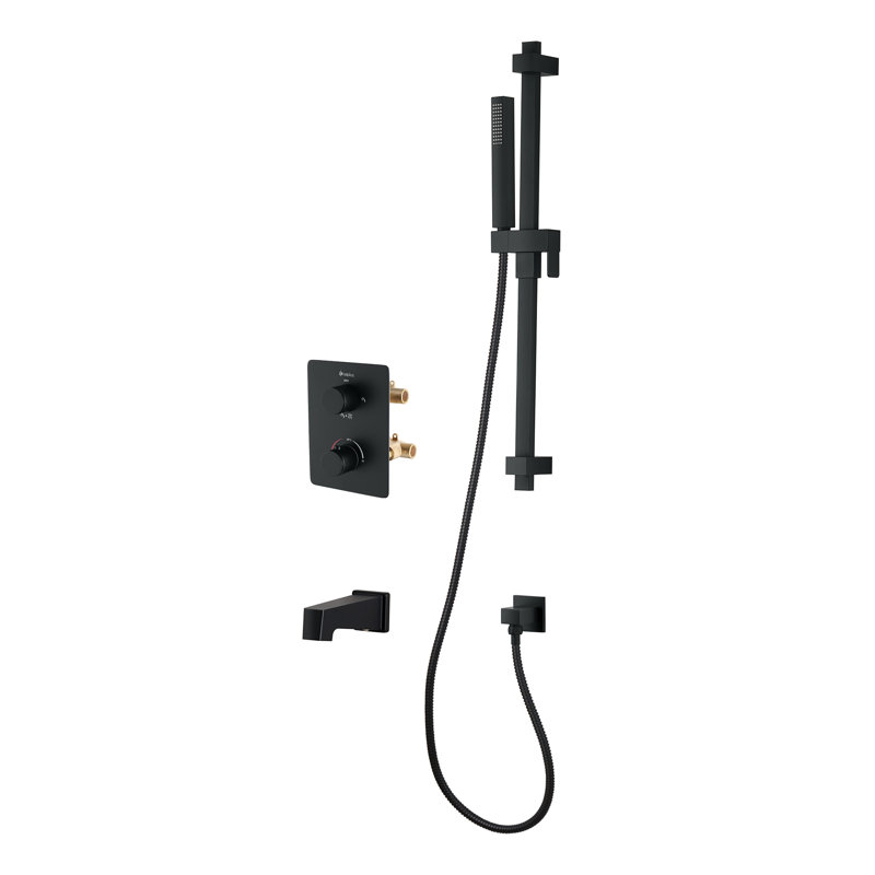 Robinet de baignoire et de douche à double fonction avec valve brute, Noir mat