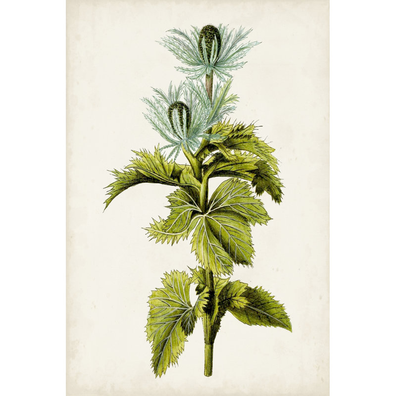 Étude botanique antique III, H 36 po x l 24 po x P 1,25 po