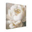 Art sur toile, boliche de pivoine Sasha-104104420