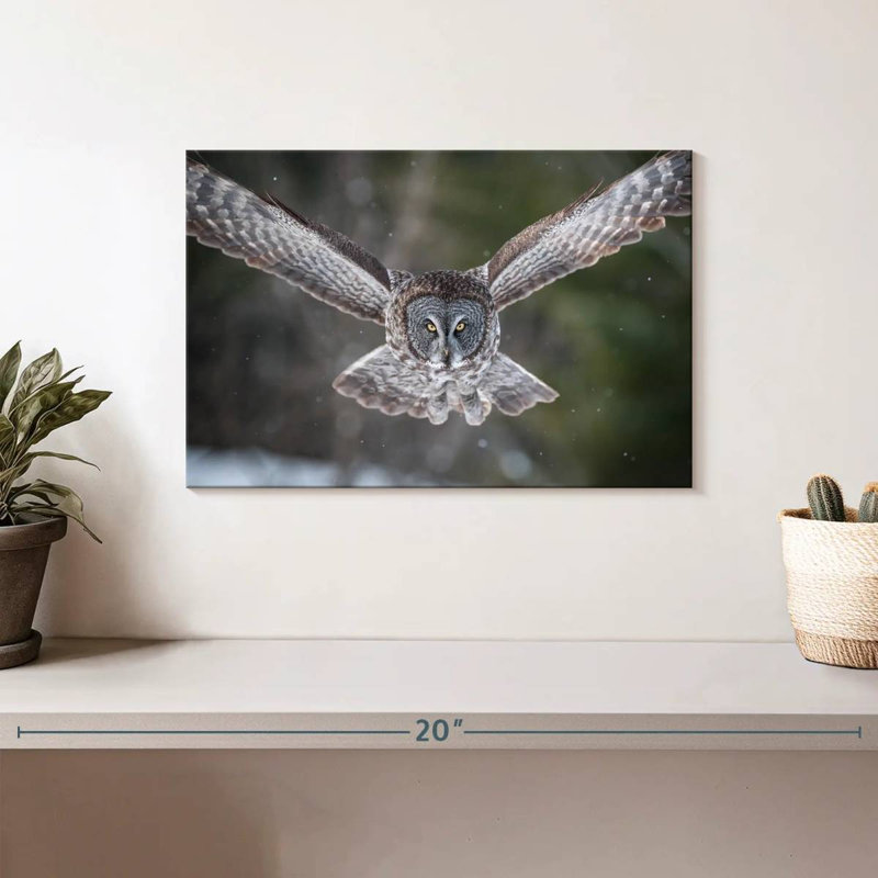 Brampt Flying Winter Owl, 8" H x 12" W