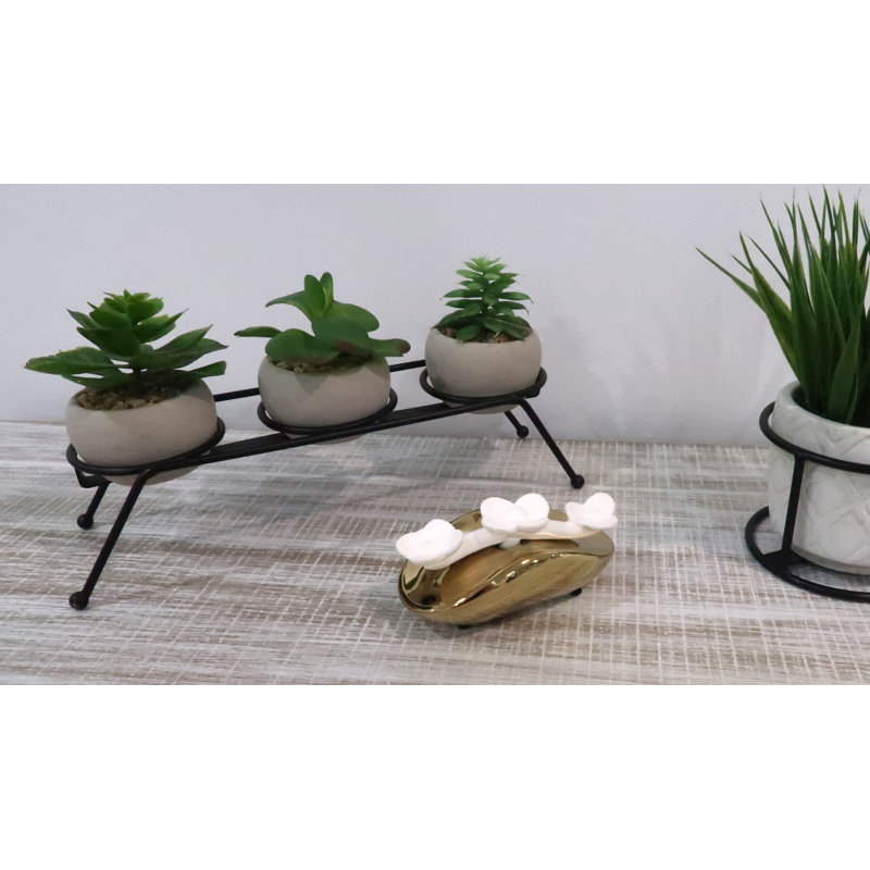 Elegant Ceramic Reed Diffuser with Fruity Scent