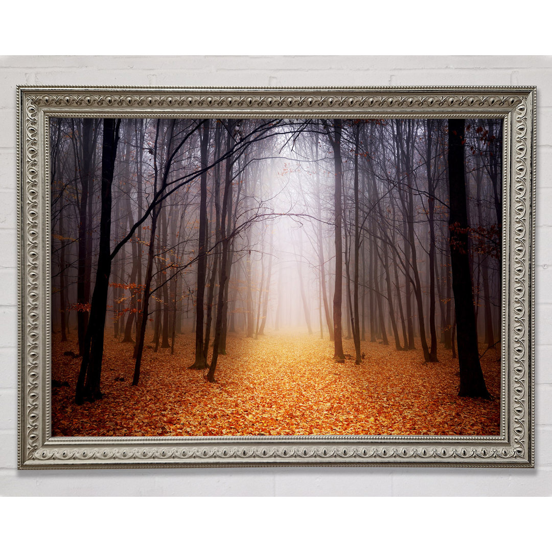 Autumn Mist - Print