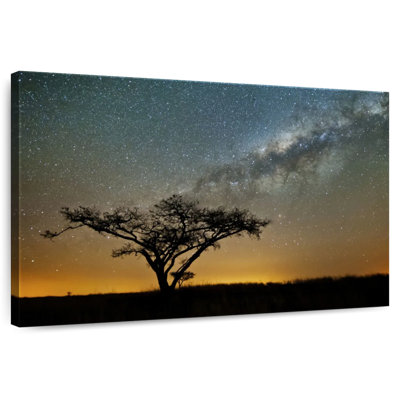Oberle Milky Way Over Africa