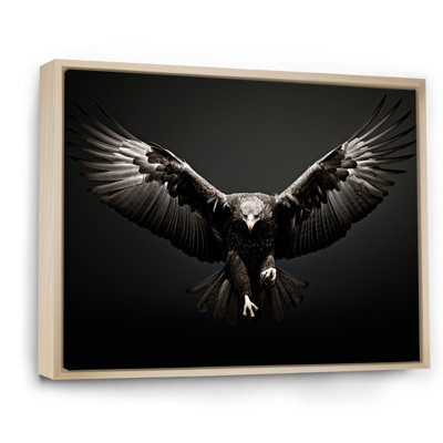 Bold Eagle Power Hunter II - Eagle Framed Prints