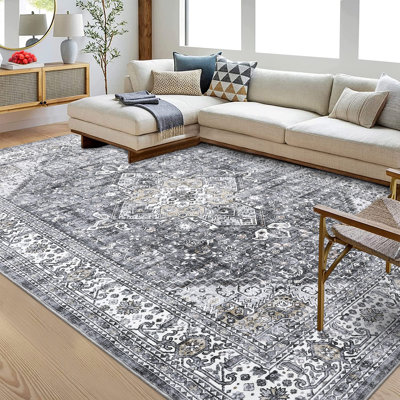 Sirach Washable Indoor Rug