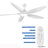 Dainius 60'' Ceiling Fan with LED Lights-1186083665