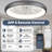 Ceiling Fan With Light
