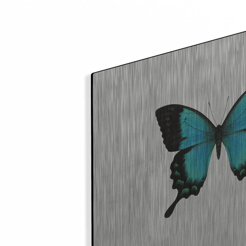 «Blue Butterfly» par PhotoINC Studio, H 12 po x l 12 po