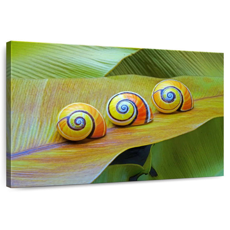 Cuban Snails, 26" H x 39" W