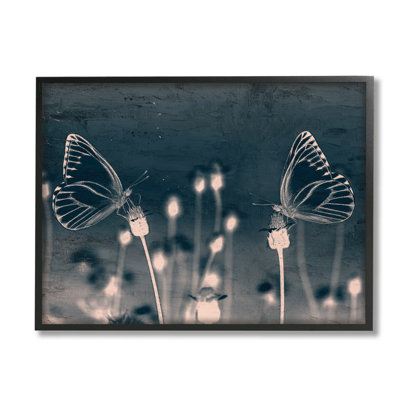 «Abstract Grey Butterflies Meadow» par Kim Allen, H 11 po x l 14 po, Giclée encadrée noir minuit