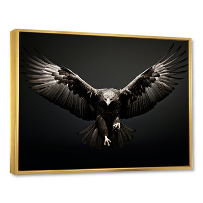 «Bold Eagle Power Hunter II», impressions encadrées