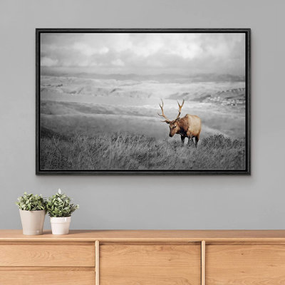 " Duotone Moose Mountain Country Landscape "