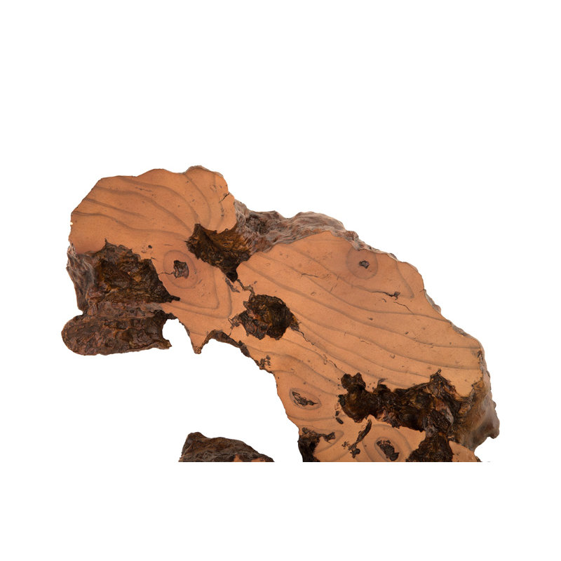 Cast Naturals Burled Root Wall Décor