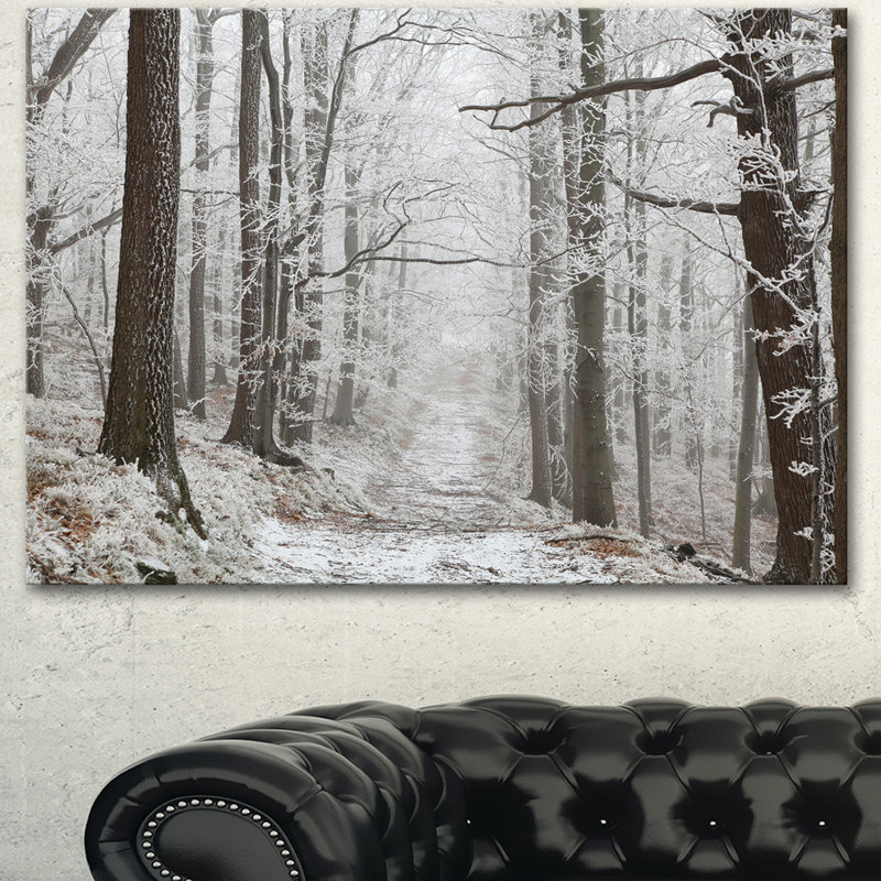 Forest Trail on Winter Morning - Reproduction de photo sur toile tendue, H 30 po x l 40 po x P 1 po