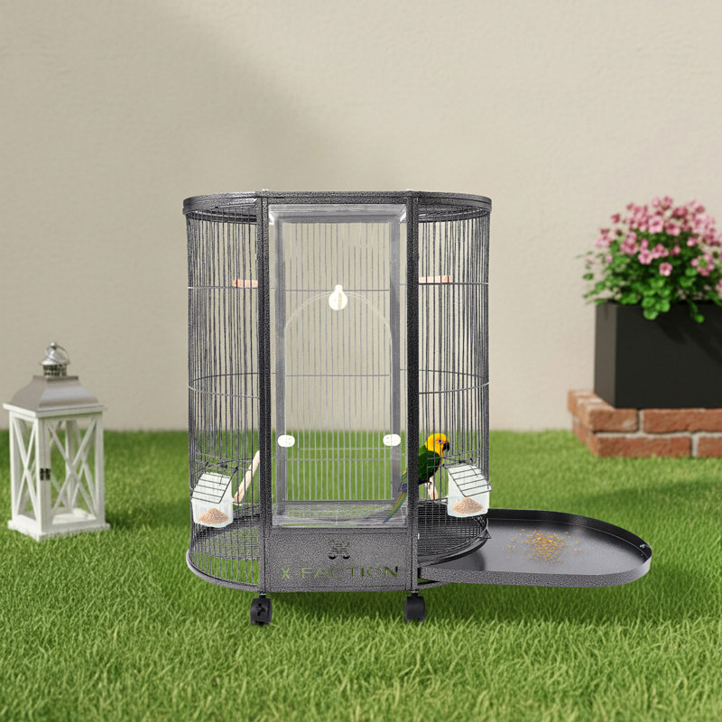 Cage ovale de 76 cm (30 pouces) avec roulettes, en acrylique et en fer, pour perroquets et calopsittes., Noir