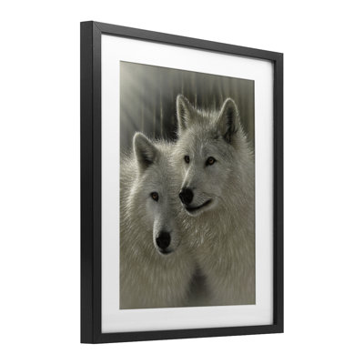 «Sunlit Soulouses Wolves», reproduction sous verre encadrée, conception par Collin Bogle