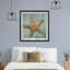 « starfish », impression encadrée-1242367231