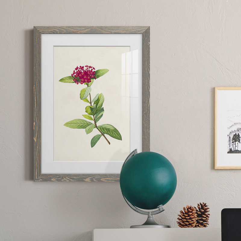 «Pretty Botanicals II», cadre photo, H 32 po x l 23 po x P 1 po, Encadré gris