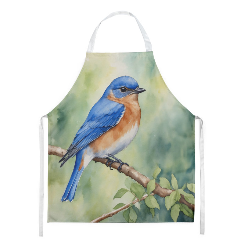 Apron, New York Eastern Bluebird