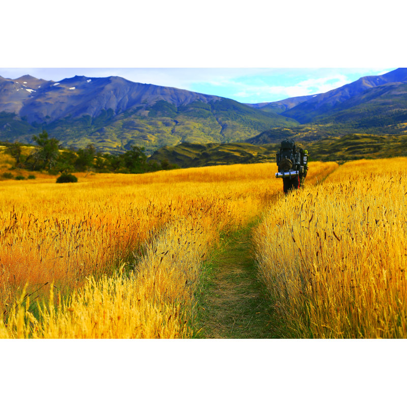 Hikers Walking In Patagonia by Agustavop - Wrapped Canvas Print, 51cm H x 76cm W
